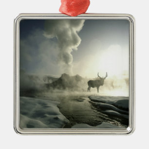 USA, Wyoming, Yellowstone Nationalpark. Sunrise Silbernes Ornament