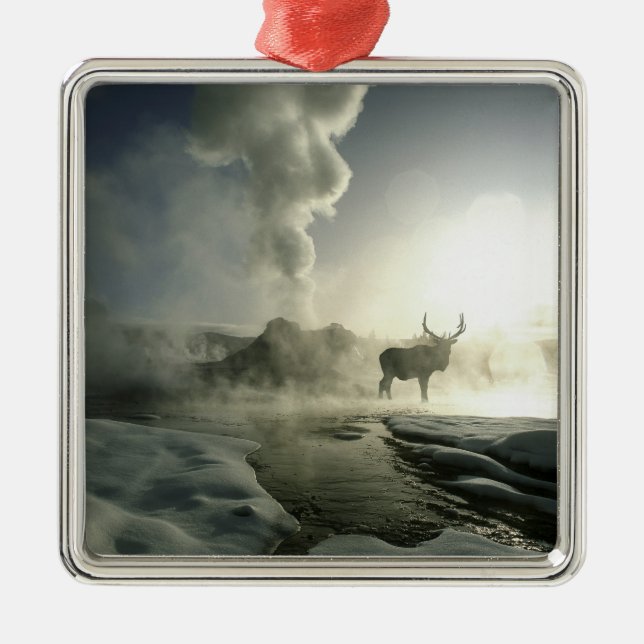 USA, Wyoming, Yellowstone Nationalpark. Sunrise Silbernes Ornament (Vorne)