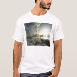 USA, Wyoming, Yellowstone Nationalpark. Sunrise T-Shirt