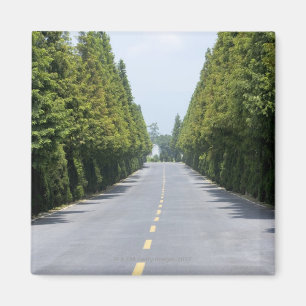 USA, Yellowstone Nationalpark, Treelined road Magnet