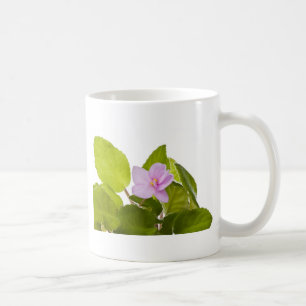 Usambaraveilchen - Saintpaulia ionantha Tasse