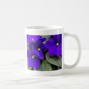 Usambaraveilchen-Tasse Tasse