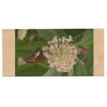 USB-Flash-Laufwerk für Butterflies gerettet