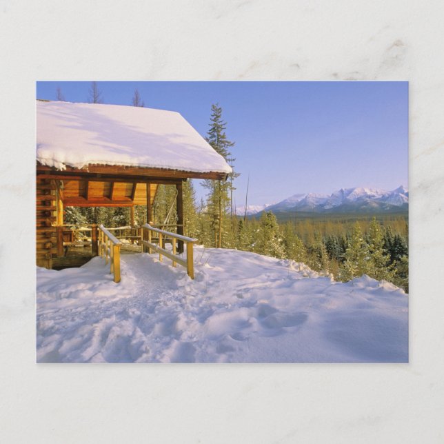 USFS Schnauss Cabin Vermietung im Winter Buchung Postkarte (Vorderseite)