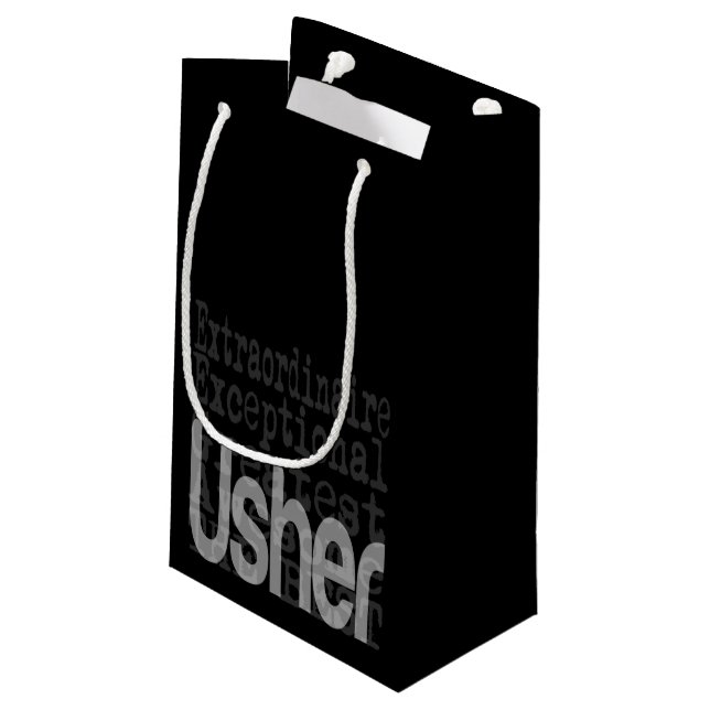 Usher Extraordinaire Kleine Geschenktüte (Rückseite Schrägansicht)