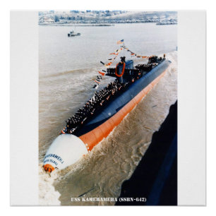 USS KAMEHAMEHA POSTER