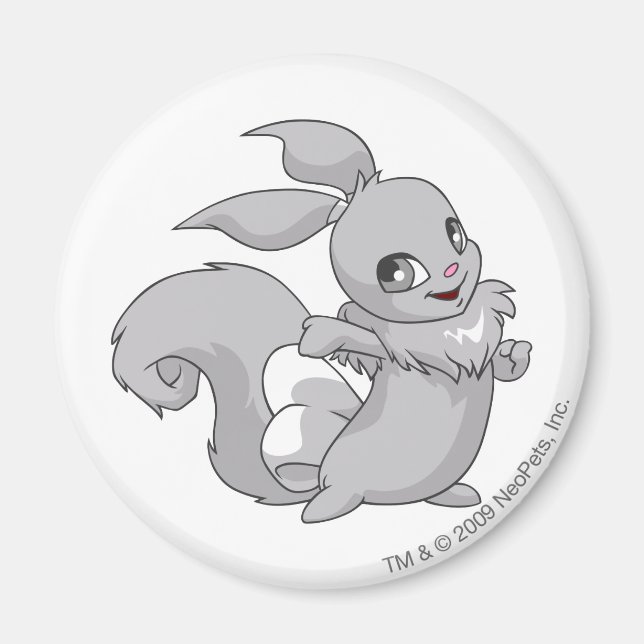 Usul Silver Magnet (Vorne)