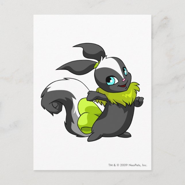 Usul Skunk Postkarte (Vorderseite)