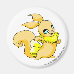 Usul Yellow Magnet