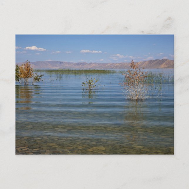 UT, Bear Lake Postkarte (Vorderseite)