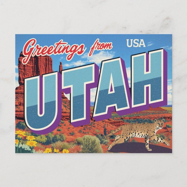 Utah Desert Bobcat Monument Valley Postkarte (Vorderseite)