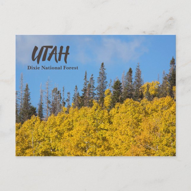 Utah Dixie National Forest Postkarte (Vorderseite)