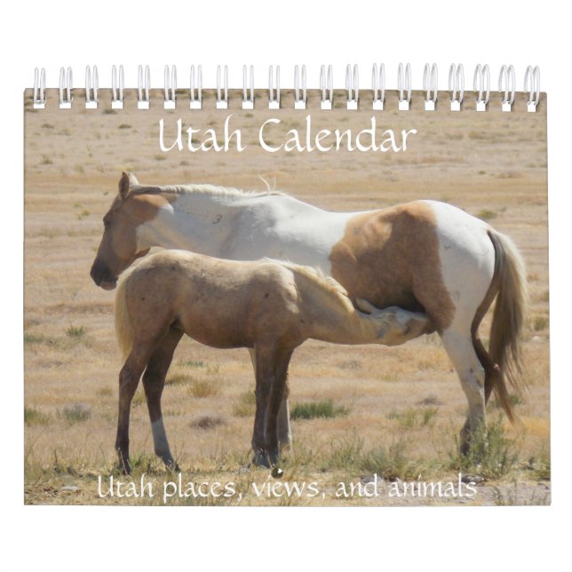Utah-Fotokalender Kalender (Titelbild)