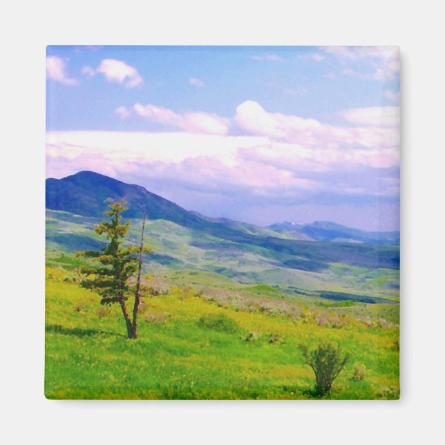 Utah Landschaftlich View Magnet (Vorne)