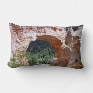 Utah Red Rock Arch Canyon Wüste Südosten Lendenkissen