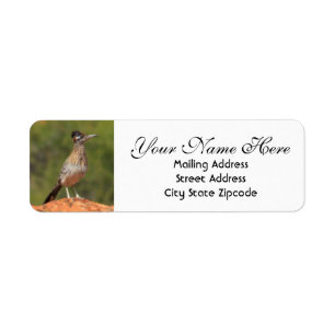 Utah Roadrunner Rücksendeadresse
