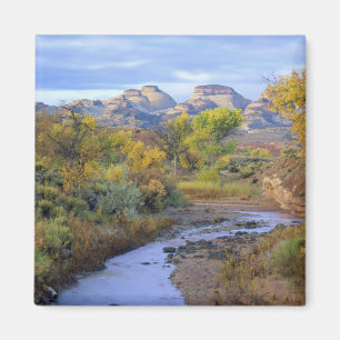 UTAH. USA. Angenehmer Bach im Herbst bei Sonnenauf Magnet