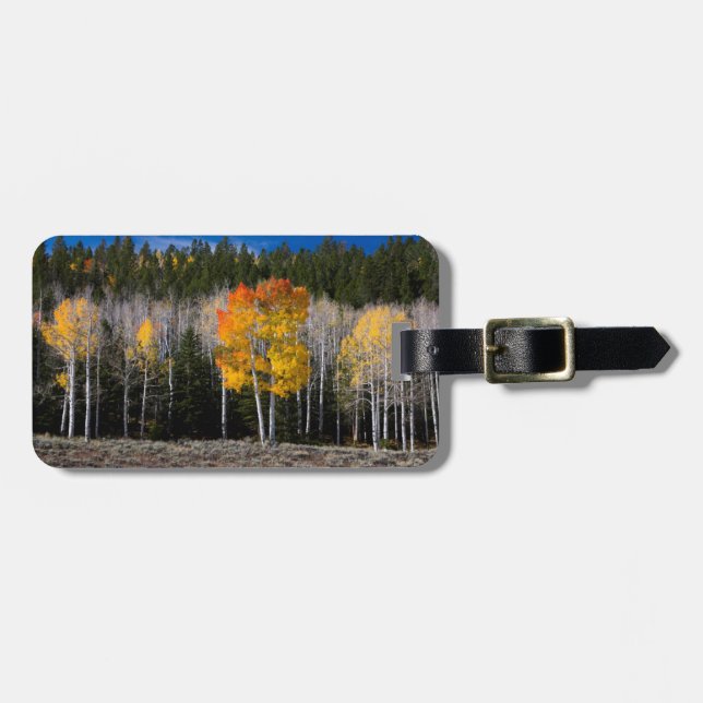 Utah, USA. Aspen Trees (Populus Tremuloides) 2 Gepäckanhänger (Vorderseite horizontal)