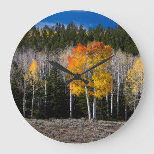 Utah, USA. Aspen Trees (Populus Tremuloides) 2 Große Wanduhr