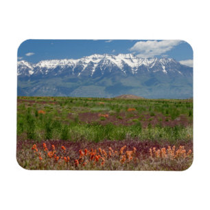 Utah, USA. Der Mt. Timpanogos erhebt sich darüber Magnet