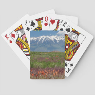 Utah, USA. Der Mt. Timpanogos erhebt sich darüber Spielkarten