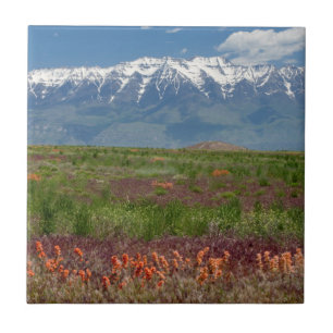 Utah, USA. Der Mt. Timpanogos ragt darüber hinaus Fliese
