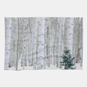 UTAH. USA. Espen (Populus tremuloides) & Douglas Handtuch
