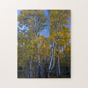Utah. USA. Espen und Mond bei Dämmerung Puzzle