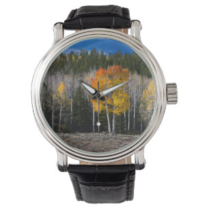 Utah, USA. Espenbäume (Populus Tremuloides) 2 Armbanduhr