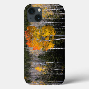 Utah, USA. Espenbäume (Populus Tremuloides) 2 Case-Mate iPhone Hülle