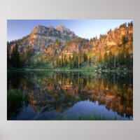 UTAH. USA. Mt. Magog, reflektiert in weißem Kiefer