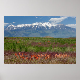 Utah, USA. Mt. Timpanogos erhebt sich darüber Poster
