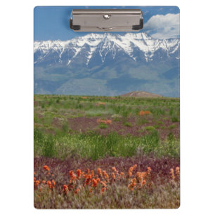 Utah, USA. Timpanogos erhebt sich oben Klemmbrett