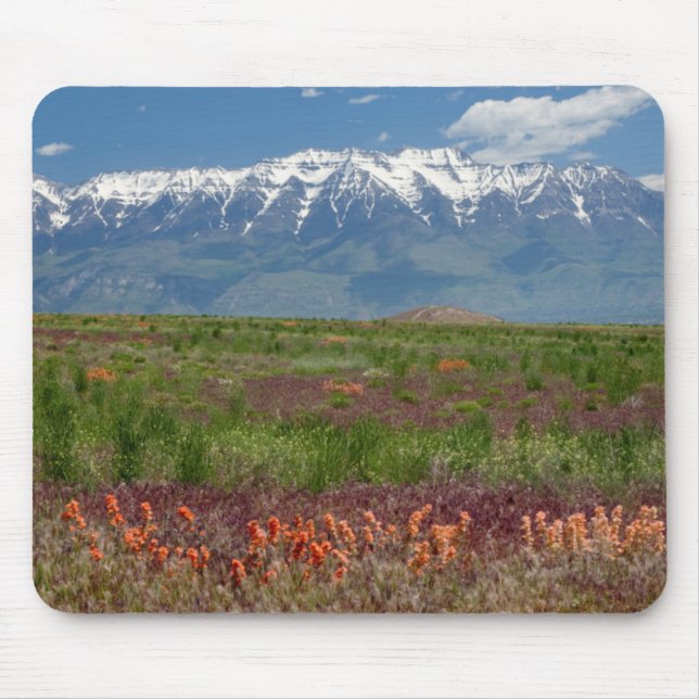 Utah, USA. Timpanogos erhebt sich oben Mousepad (Vorne)