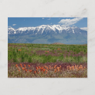 Utah, USA Timpanogos Postkarte