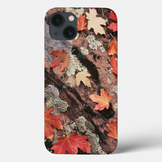 Utah, Zion Nationalpark, Herbstmuster Case-Mate iPhone Hülle (Rückseite)