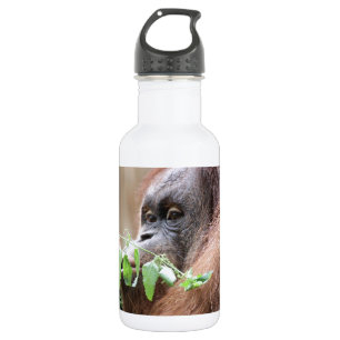 Utan005 Edelstahlflasche