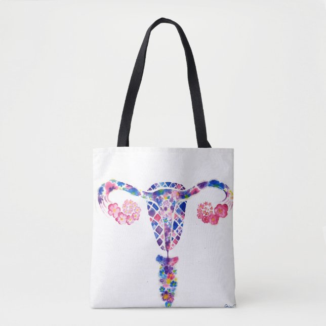Uterus (Vorderseite)