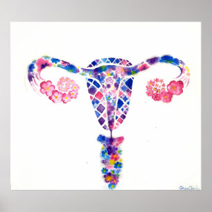 Uterus Poster
