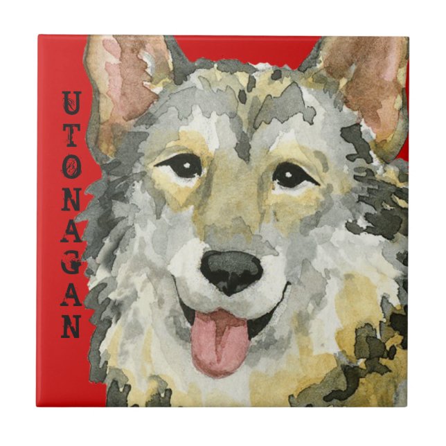 Utonagan-Farbblock Fliese (Vorderseite)