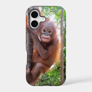 Uttuh Baby Orang-Utan in Dschungel-Schule