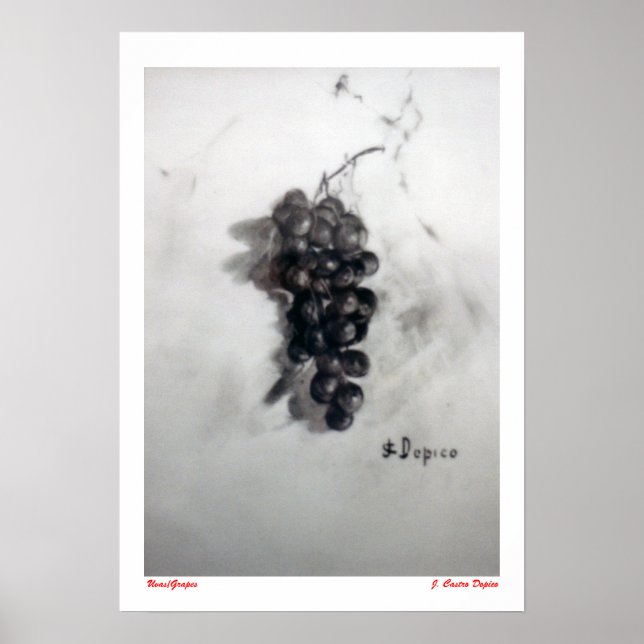 Uvas/Trauben Poster (Vorne)