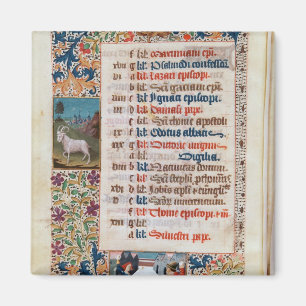 V.25-3 Fol.12v der Monat Dezember Magnet