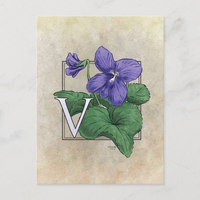 V für Violets Blume Monogramm Postkarte (Vorderseite)