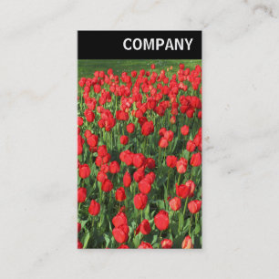 V Header - Bett aus roten Tulpen 02 Visitenkarte