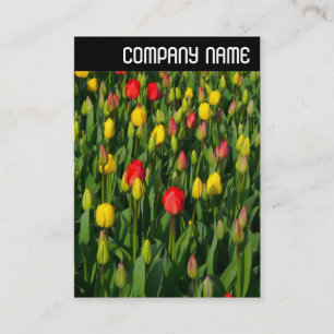V Header - Farbige Tulpen Visitenkarte