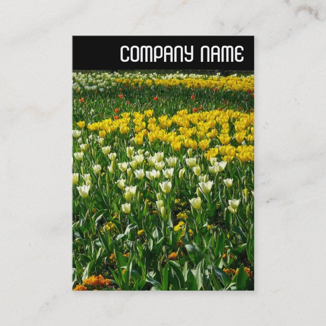 V Kopfzeile - Frühlingsblumen Visitenkarte (Vorderseite)