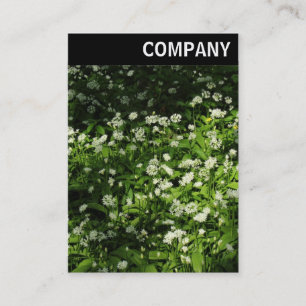 V Leiter - Freier Knoblauch Visitenkarte