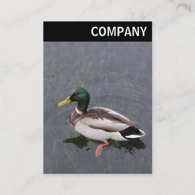 V Leiter: Mallard Duck Visitenkarte (Vorderseite)