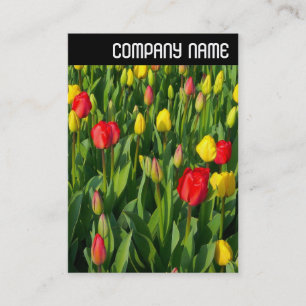 V Rubrik: Farbige Tulips II Visitenkarte